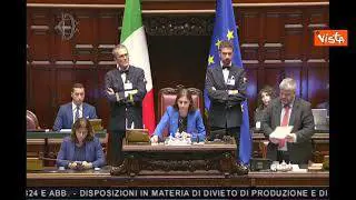 Carne sintetica, ok della Camera al divieto con 159 sì e 53 no. È legge