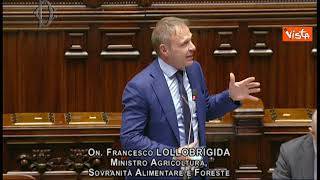 Stop a carne sintetica, Lollobrigida: "In Ue vorremmo convincere altre nazioni a fare stessa scelta"