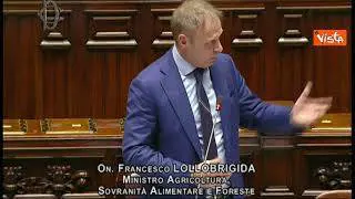 Lollobrigida: "Notificheremo la norma in Ue, spero seguano nostro esempio"