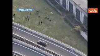 Ecco "il bosco della droga" a Milano, le riprese aeree della Polizia
