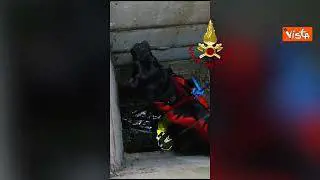 Il cane Giacomino cade in un pozzo di 10 metri a Roma, salvato dai Vigili del Fuoco