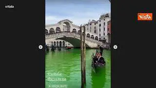 Blitz di "Extinction Rebellion", Canal Grande a Venezia si colora di verde