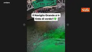 Ambientalisti colorano di verde l'acqua dei Navigli a Milano