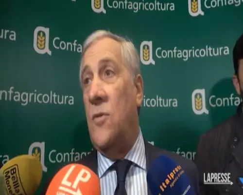 Tajani spegne le polemiche sul Mes: "Maggioranza coesa"