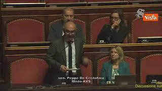 De Cristofaro (Avs): "Governo contro politiche green ed esigenze italiani"