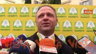 Carne sintetica, Lollobrigida: "In Francia presentata la stessa proposta, l'Italia è avanguardia"