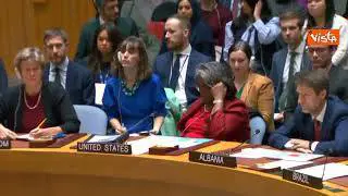 Il Consiglio di Sicurezza dell'Onu approva la risoluzione per gli aiuti a Gaza
