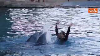 Festa al parco Oltremare di Riccione, la delfina Mia compie 15 anni