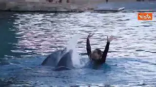 Festa al parco Oltremare di Riccione, la delfina Mia compie 15 anni