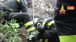 Cane incastrato in una cavità rocciosa salvato dai Vigili del Fuoco a Lanusei, in Sardegna