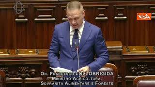 Lollobrigida: "Nostri agricoltori sanno che Governo è dalla loro parte, al contrario di altri Paesi"