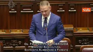 Lollobrigida: "Nostri agricoltori sanno che Governo è dalla loro parte, al contrario di altri Paesi"