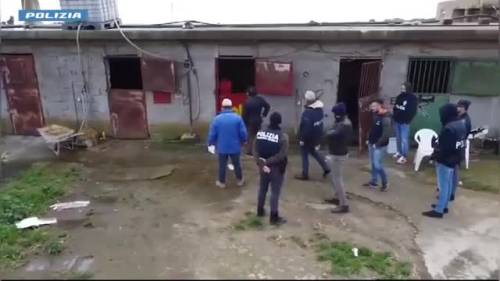 Cani malnutriti e chiusi in gabbia a Caltanissetta: il salvataggio dei poliziotti