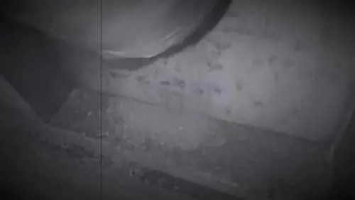 Concime davanti alla sede della Lega: il video della protesta degli animalisti