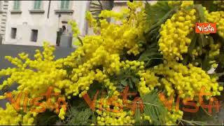 Otto marzo, l'ingresso del Quirinale addobbato dalle mimose