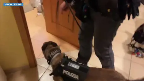 Fiumi di cocaina sulle piste da sci di Livigno, il maxi blitz della polizia di Stato