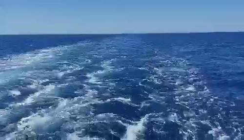La Ocean Viking in navigazione: a bordo i migranti. Il video pubblicato dal trafficante