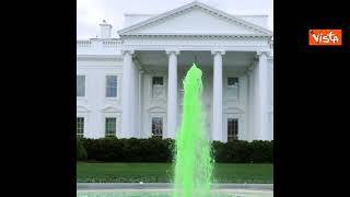 San Patrizio, l'acqua della fontana della Casa Bianca si colora di verde