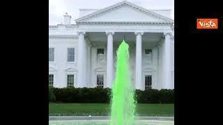 San Patrizio, l'acqua della fontana della Casa Bianca si colora di verde