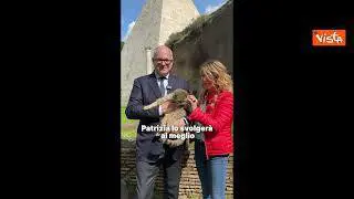 Gualtieri: A Roma nominato Garante dei diritti degli animali