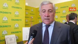 Guerra in Israele, Tajani: "Lavoriamo affinché il buonsenso prevalga"