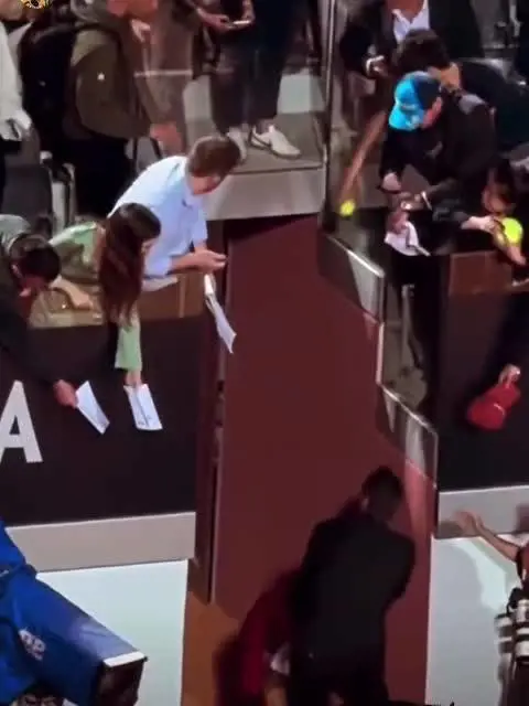 Internazionali, Djokovic colpito in testa da una borraccia: il video