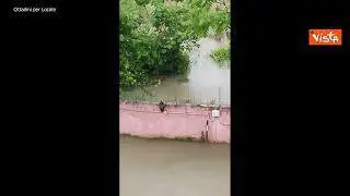 Maltempo a Milano, le immagini degli allagamenti a Locate