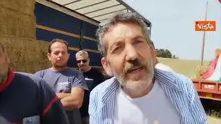 Siccità in Sicilia, l'allarme degli allevatori siciliani: "Mancano l'acqua e il cibo"