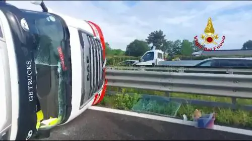 Camion con bestiame si ribalta sulla A4: bovini morti e strada chiusa | Il video