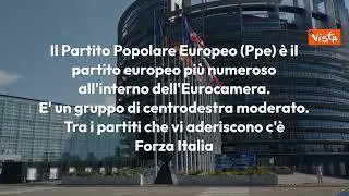 Quali sono i gruppi politici del Parlamento europeo? L'infografica