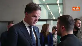 Zelensky incontra il Primo Ministro dei Paesi Bassi Rutte a Berlino