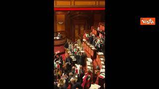 Premierato, la protesta con i cartelli con la bandiera italiana al Senato
