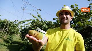 Al villaggio Coldiretti di Venezia gli agricosmetici di kiwi, un'idea contro lo spreco