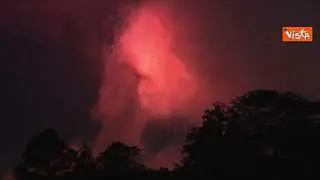 Biden e Kamala Harris con i coniugi  alla Casa Bianca per i fuochi d'artificio del 4 luglio