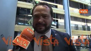 L'ex europarlamentare Castaldo: "Importante che Italia abbia di nuovo due vicepresidenti"