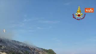 Incendio di Vieste, baia San Felice devastata dal rogo. Le operazioni di spegnimento con i Canadair