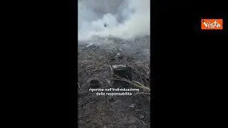 Incendio Roma, Gualtieri al parco di Monte Mario: Rogo partito colposamente da accampamento abusivo