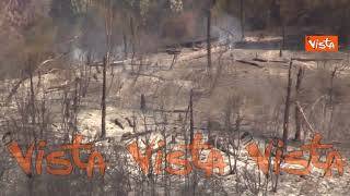 Incendio a Monte Mario, alberi bruciati e terreno ancora fumante sul colle di Roma