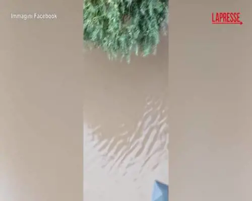 Liguria sotto la pioggia: ad Albenga sommerse strade e auto