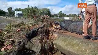 Maltempo al Nord, le immagini dei danni dell’alluvione alle aziende agricole del savonese