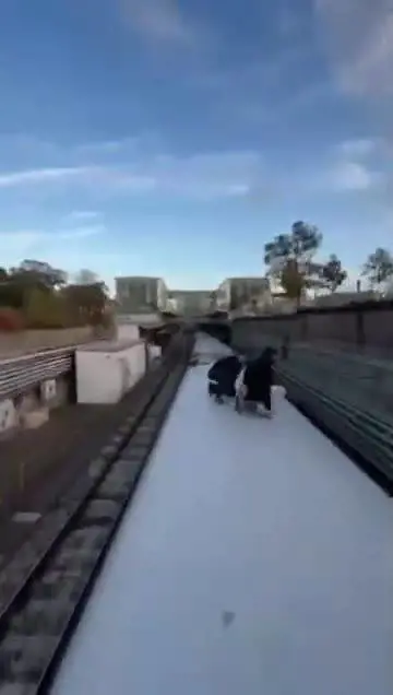 Austria, due ragazzi gravissimi dopo la sfida del "train surfing": il video