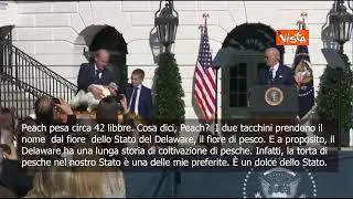 Biden grazia due tacchini  per il Thanksgiving: Peach e Blossom fra gli uccelli liberi degli USA