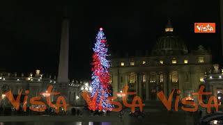 Natale 2024, l'albero della Città del Vaticano in Piazza San Pietro