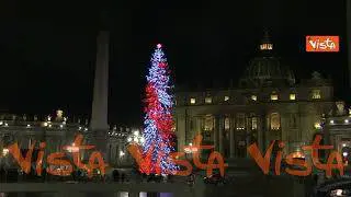 Natale 2024, l'albero della Città del Vaticano in Piazza San Pietro