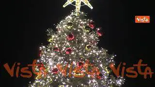 Natale 2024, l'albero di Roma allestito a Piazza del Popolo