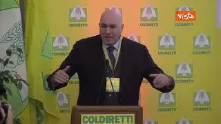 Crosetto: Abbiamo distrutto industria dell'auto aprendo le porte alla Cina, che produce senza regole