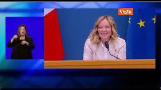 Faccia incredula della traduttrice dei segni alla domanda su formiche del Direttore di Agenzia Vista