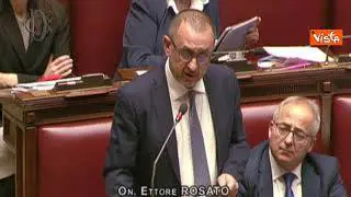 Rosato: "Sostegno all'Ucraina oggi più necessario che mai"