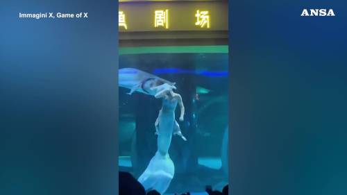 Cina, "sirenetta" attaccata da un pesce mentre si esibiva in un acquario