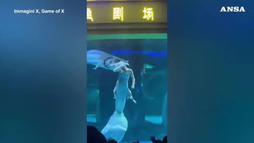 Cina, "sirenetta" attaccata da un pesce mentre si esibiva in un acquario